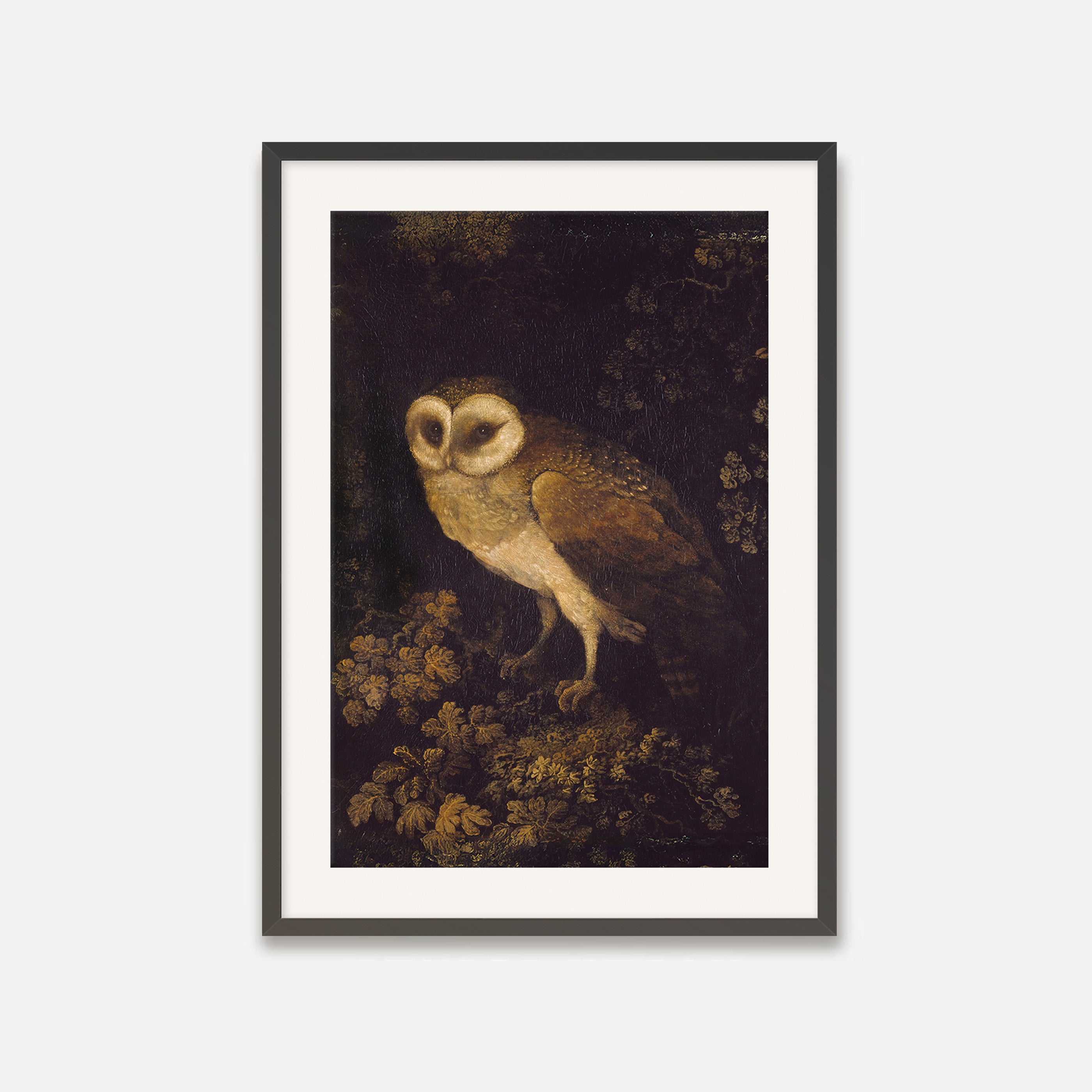 Owl Print - Sage and Rose Prints