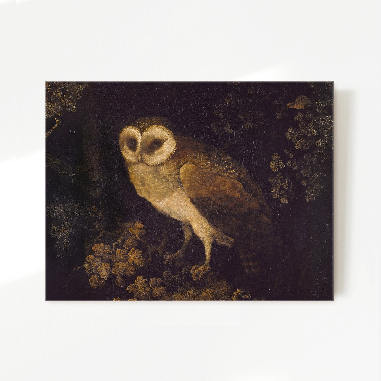 Owl Print 2 - Sage and Rose Prints