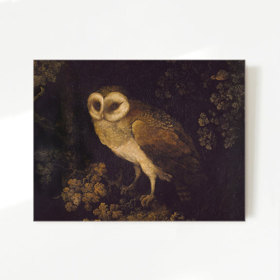 Owl Print 2 - Sage and Rose Prints