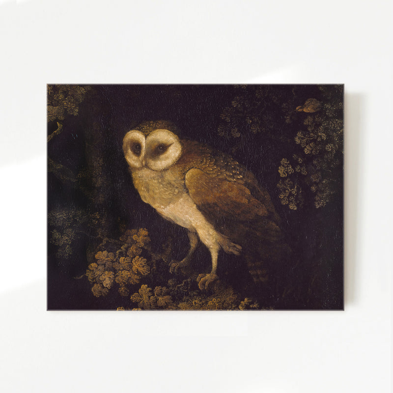 Owl Print 2 - Sage and Rose Prints