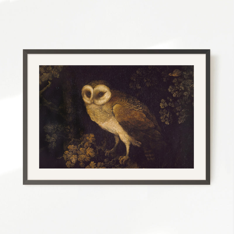 Owl Print 2 - Sage and Rose Prints