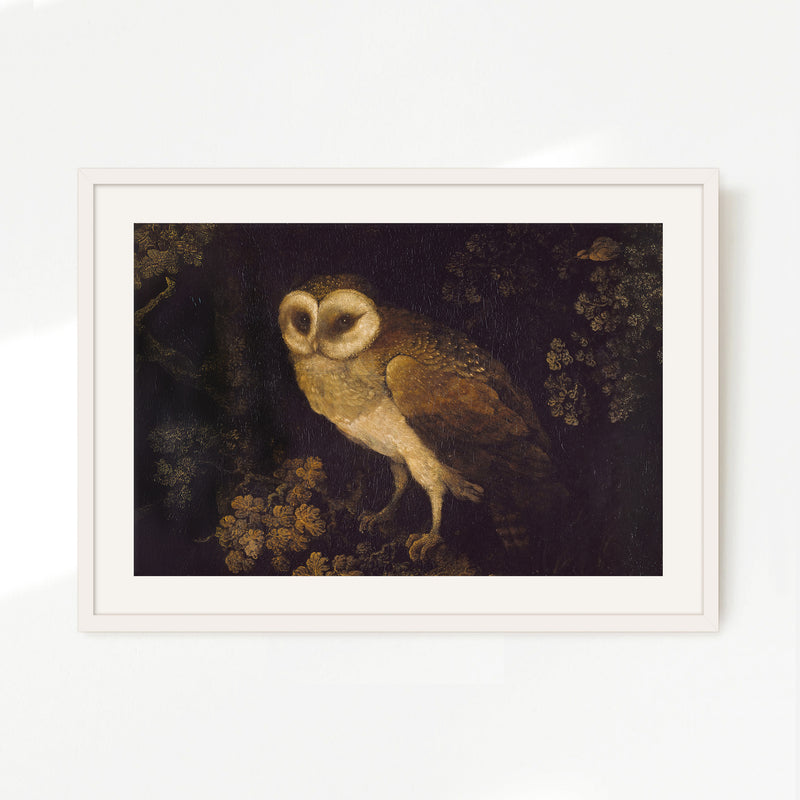 Owl Print 2 - Sage and Rose Prints