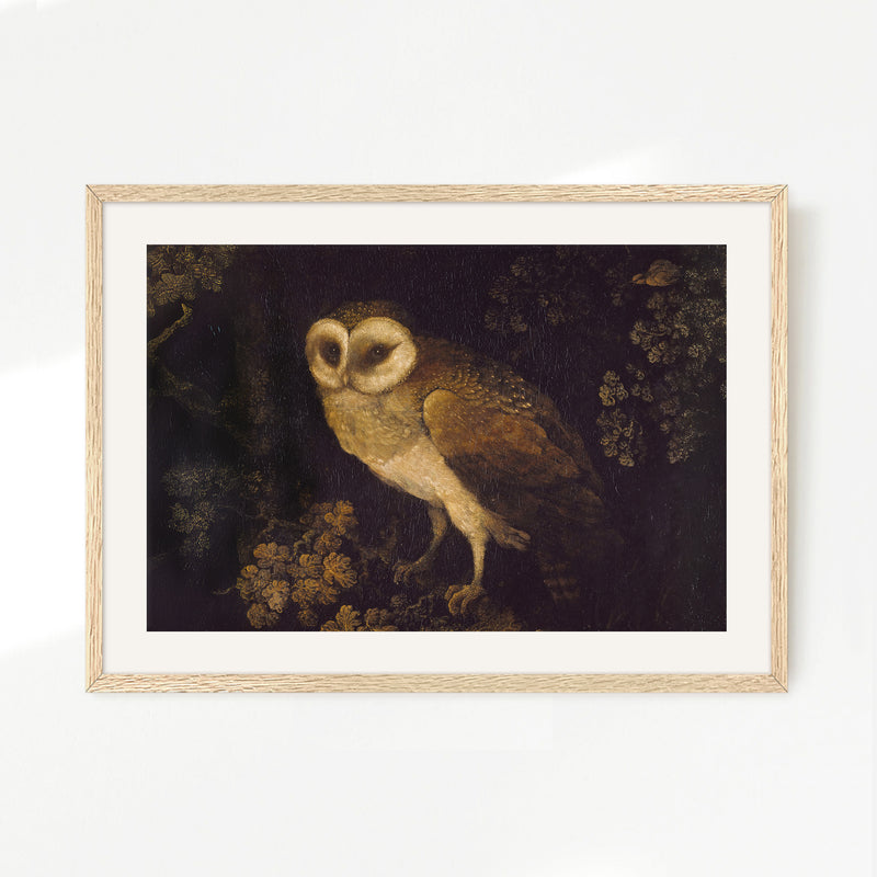 Owl Print 2 - Sage and Rose Prints