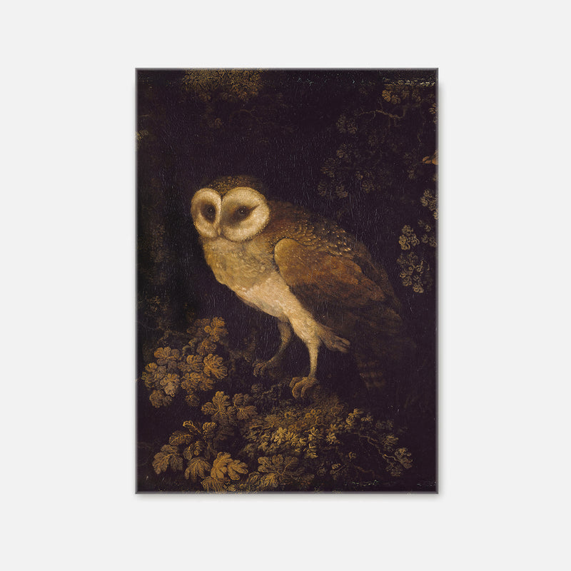 Owl Print - Sage and Rose Prints