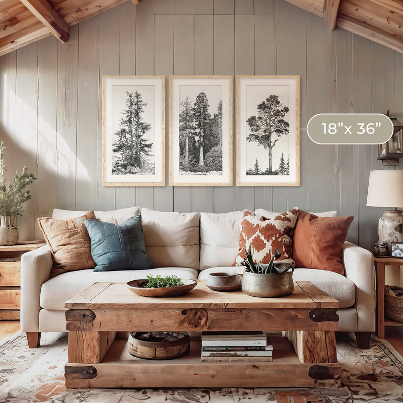 Black and White Tree Illustration Triptych - Sage and Rose Prints