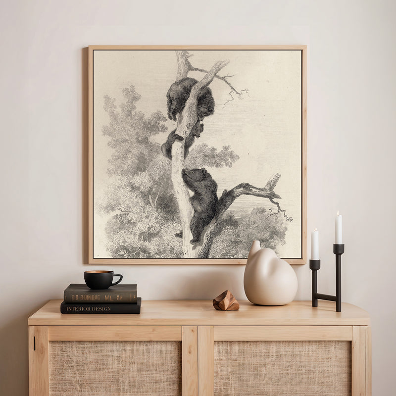 43 - Vintage Bears in a Tree Sketch - Sage and Rose Prints