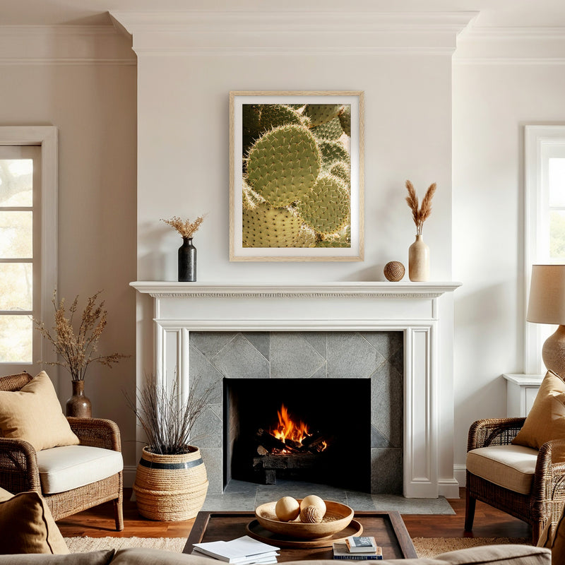 Spiked In the Sunlight - Sage and Rose Prints