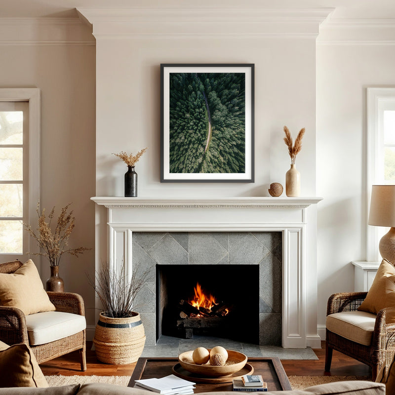 Evergreen Forest Canopy Photograph - Sage and Rose Prints