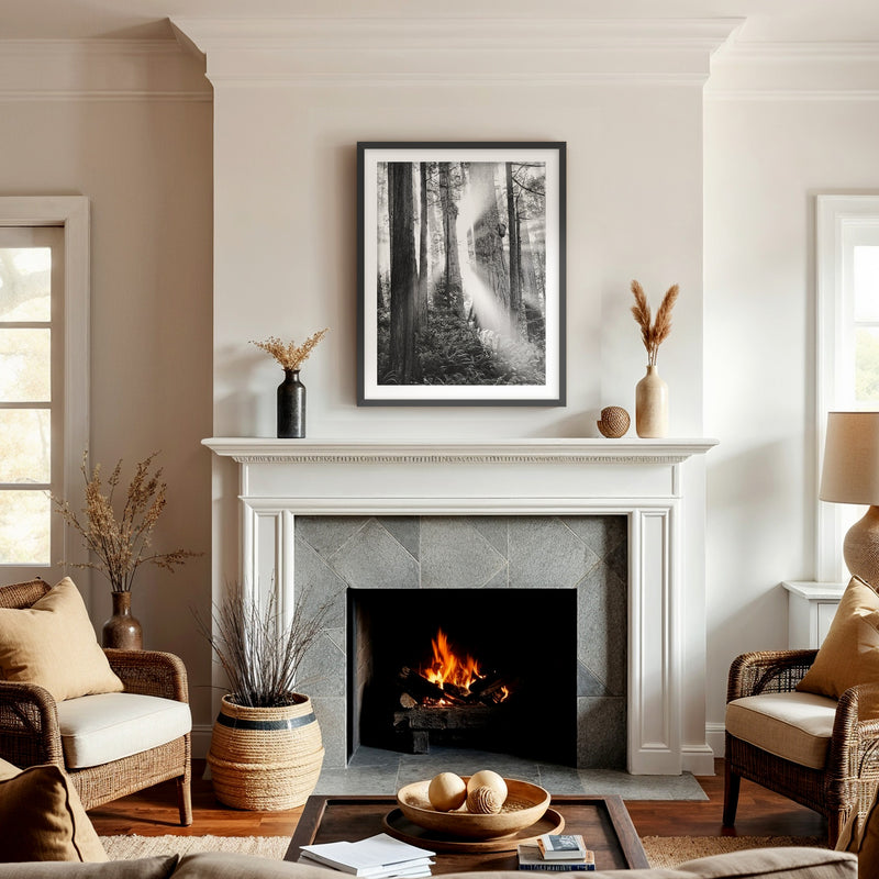 Light in the Trees Black and White Photo - Sage and Rose Prints