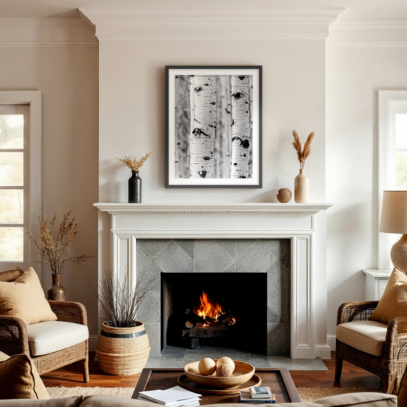 Silver Aspen in Black and White - Sage and Rose Prints