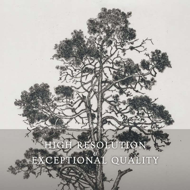 Black and White Trees 2 Panel Art Set - Sage and Rose Prints