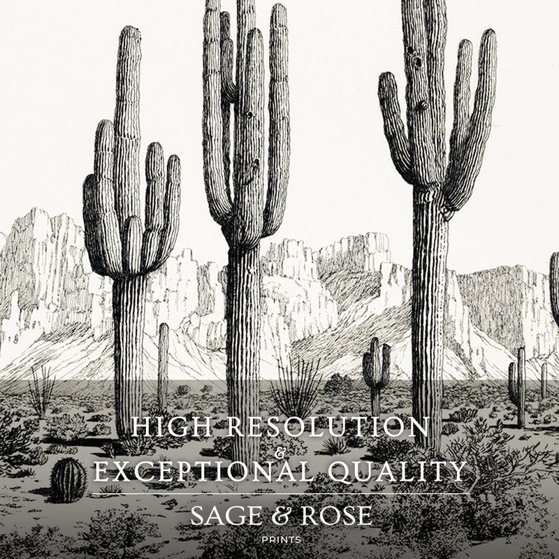 Black and White Cactus Wall Art 2-Panel Set - Sage and Rose Prints