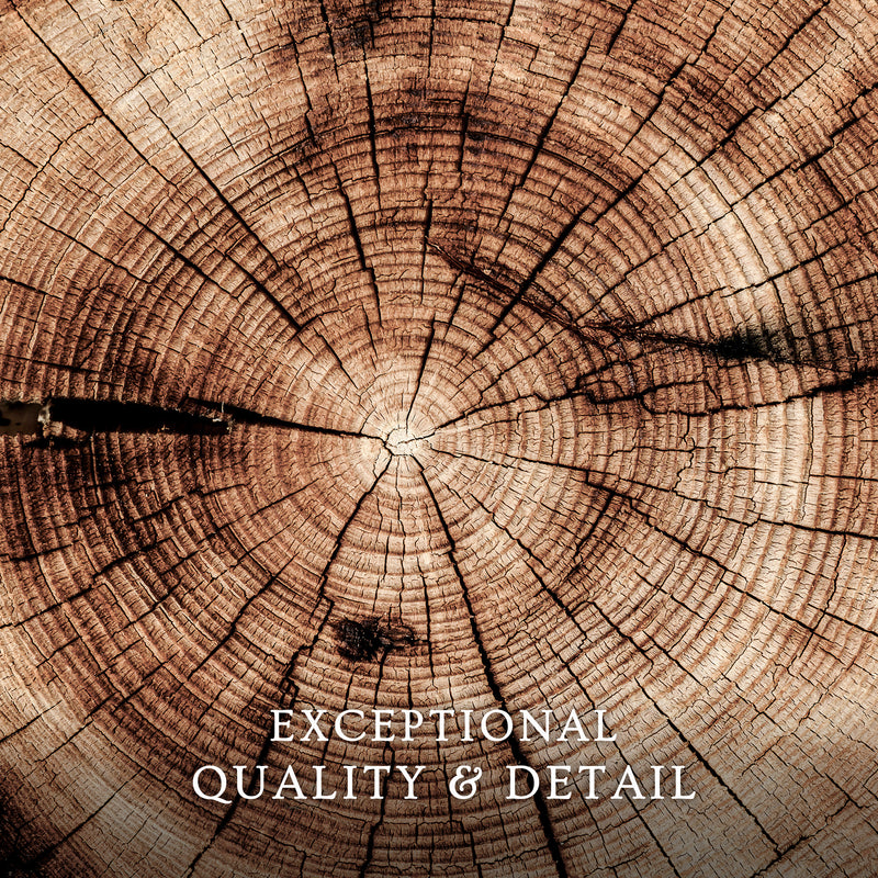 Geometric Tree Rings Photo - Sage and Rose Prints