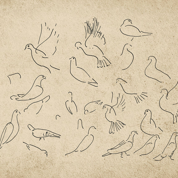 38-*AK-03- Vintage Doves Sketch - Sage and Rose Prints