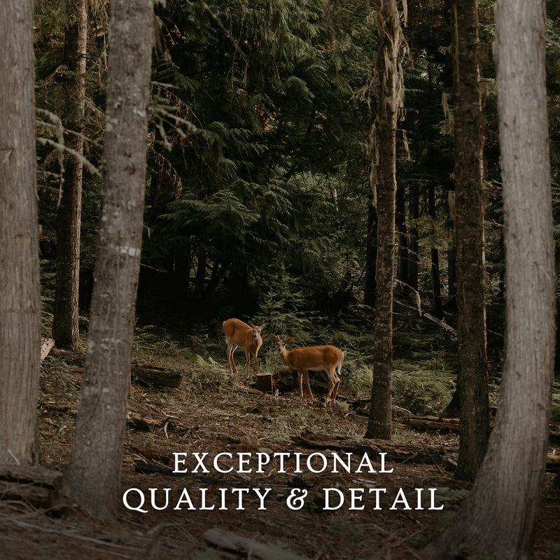 In the Woods - Sage and Rose Prints