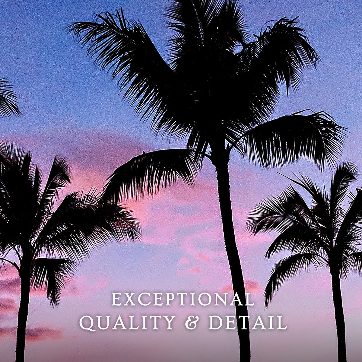 Palm Tree Silhouettes and Purple Sky No2 - Sage and Rose Prints