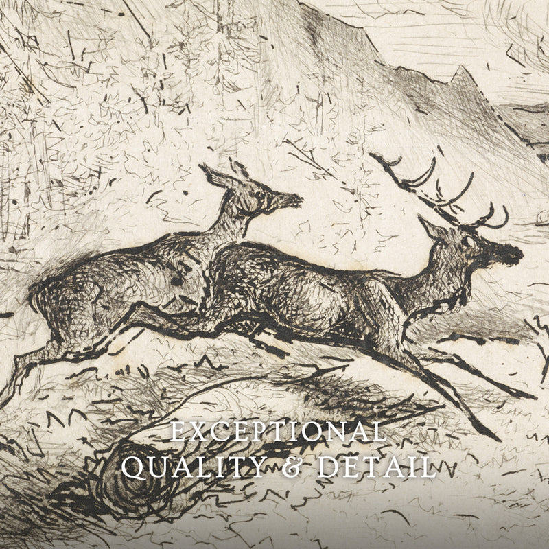 Charcoal Drawing of Deer No2 - Sage and Rose Prints