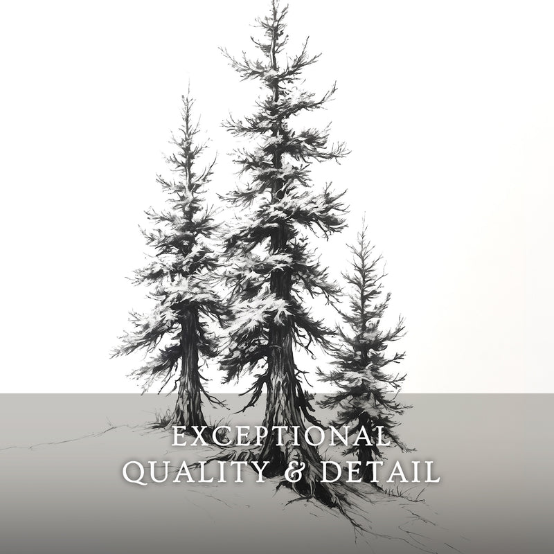 Black and White Drawing of Evergreen Tree - Sage and Rose Prints