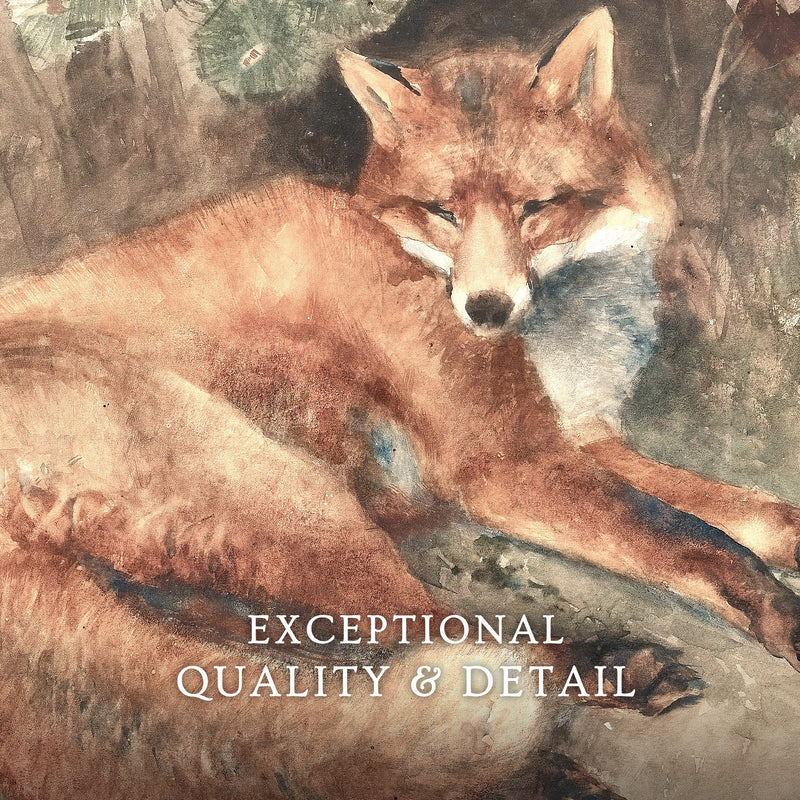 Old Masters Fox Painting No1 - Sage and Rose Prints
