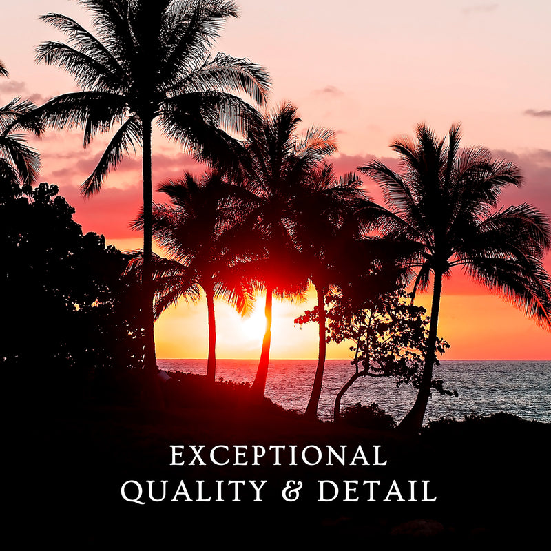 Palm Trees Silhouettes Sunset Photo No1 - Sage and Rose Prints