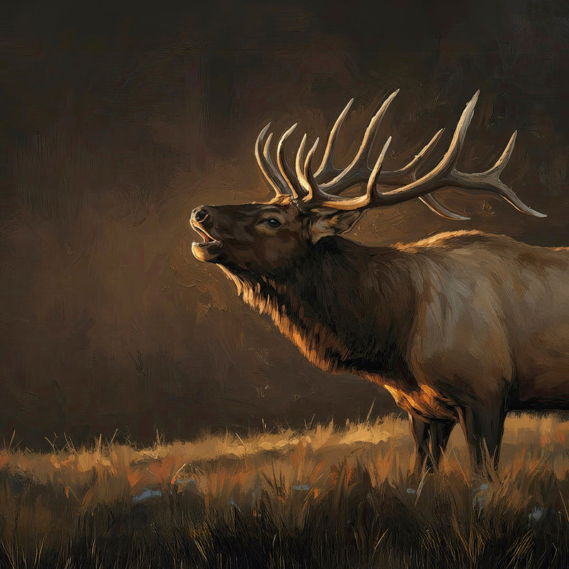 AK-19-Moody Elk Wildlife Painting - Sage and Rose Prints