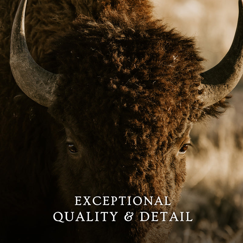 Antelope Island Bison - Sage and Rose Prints