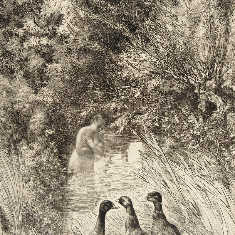 Vintage Trio of Ducks Drawing - Sage and Rose Prints