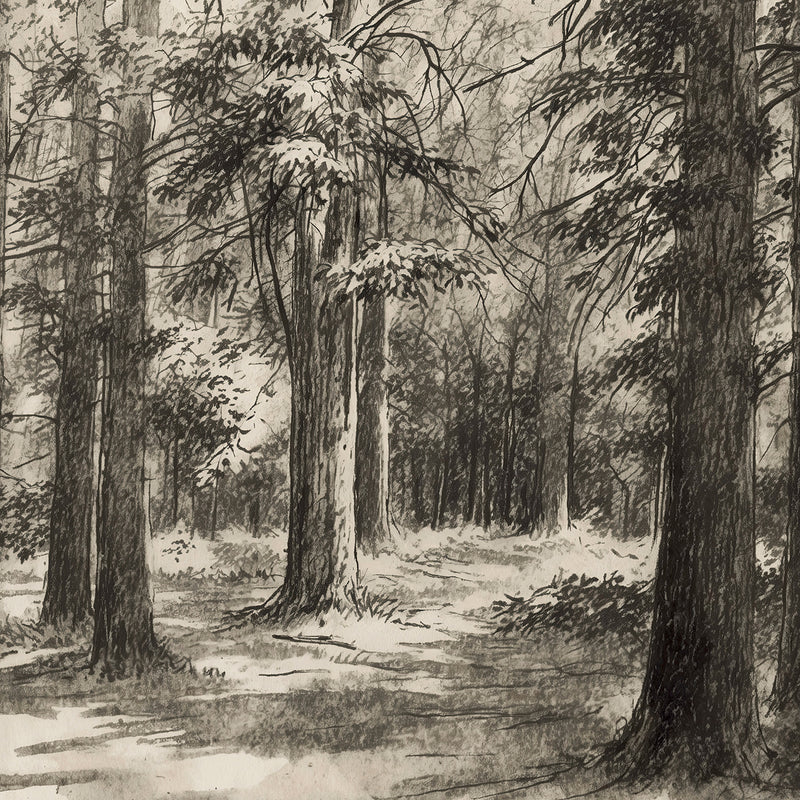 AK-46 Vintage Forest Sketch - Sage and Rose Prints