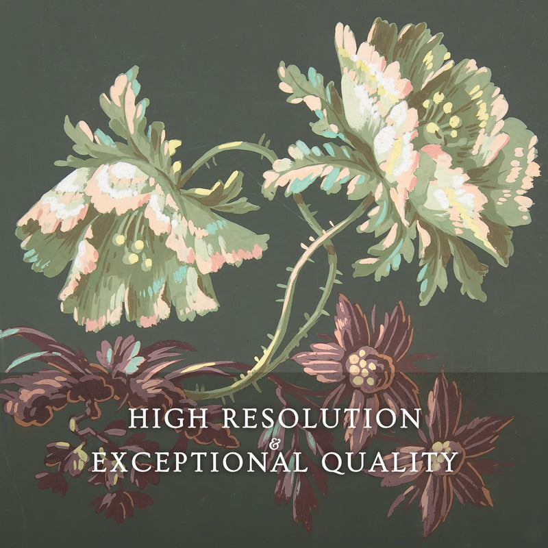 Green Floral Botanical Print No2 - Sage and Rose Prints