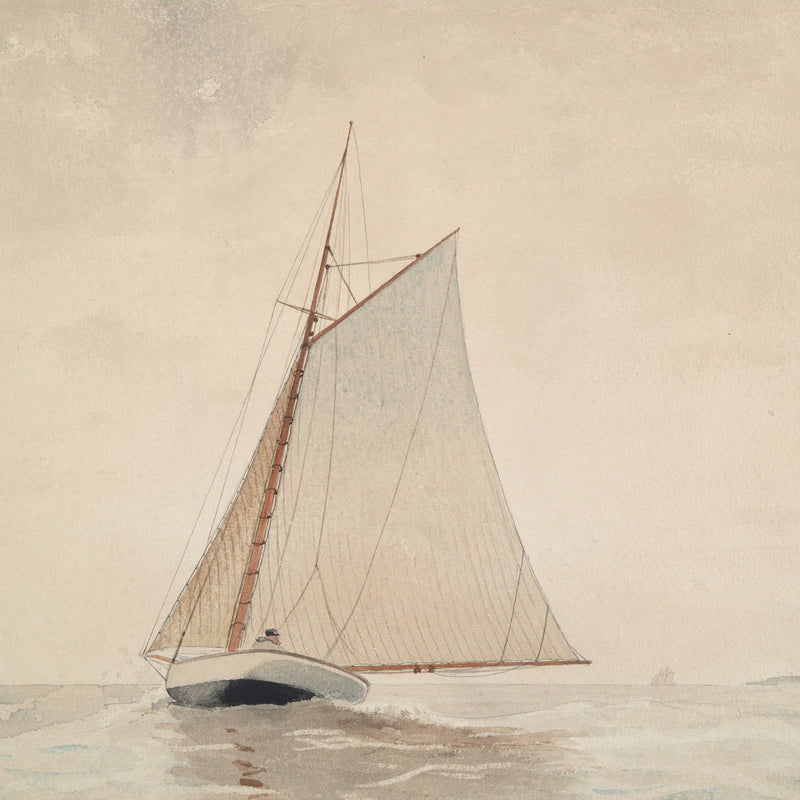 Vintage Sailboat Illustration No2 - Sage and Rose Prints