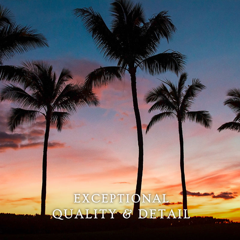 Palm Trees Sunset Photo Print - Sage and Rose Prints