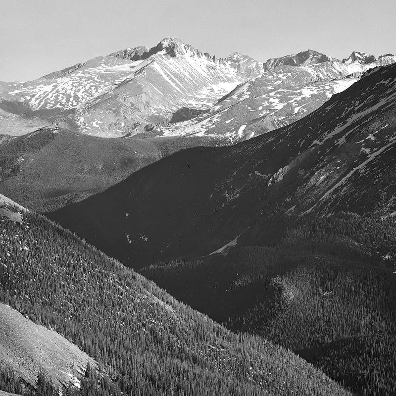 Historic Ansel Adams Black And White Photo - Sage and Rose Prints