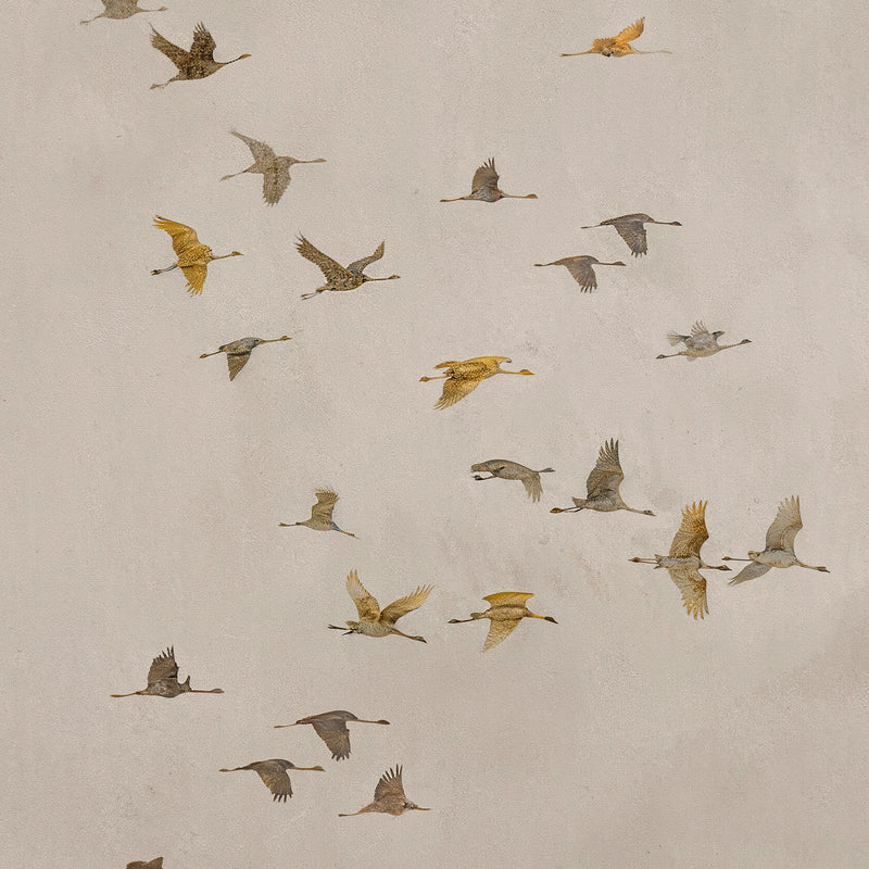 Flock of Birds Tan Japandi Watercolor - Sage and Rose Prints