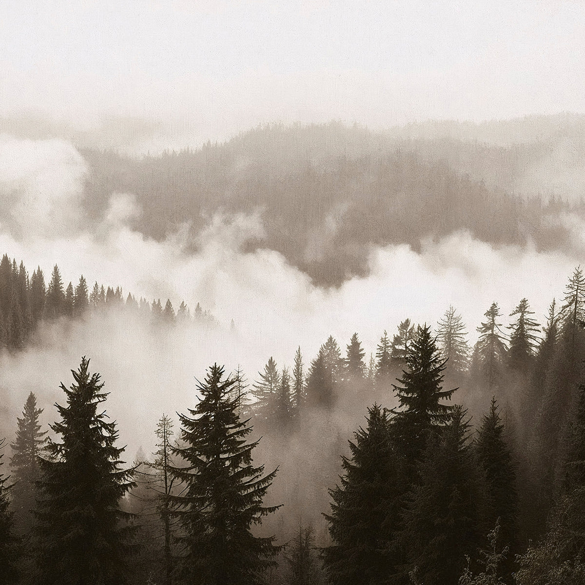 40-*AK-16-Misty Ridge Photo - HZ - Sage and Rose Prints