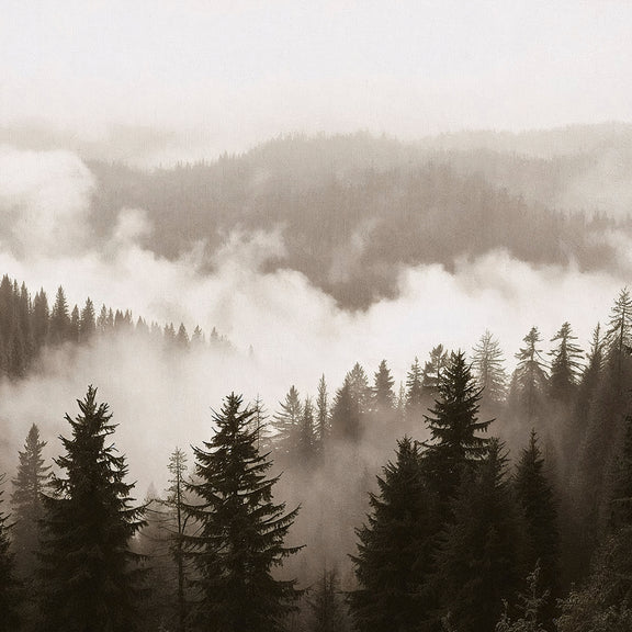 40-*AK-16-Misty Ridge Photo - HZ - Sage and Rose Prints
