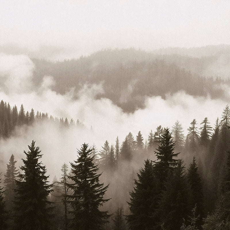 40-*AK-16-Misty Ridge Photo - HZ - Sage and Rose Prints