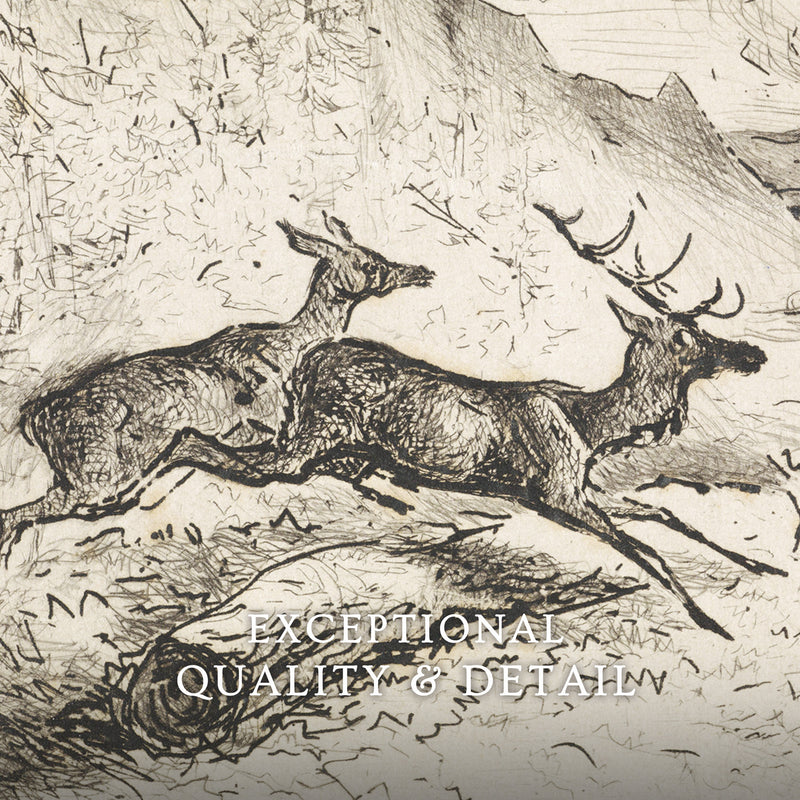 Charcoal Drawing of Deer No2 - Sage and Rose Prints