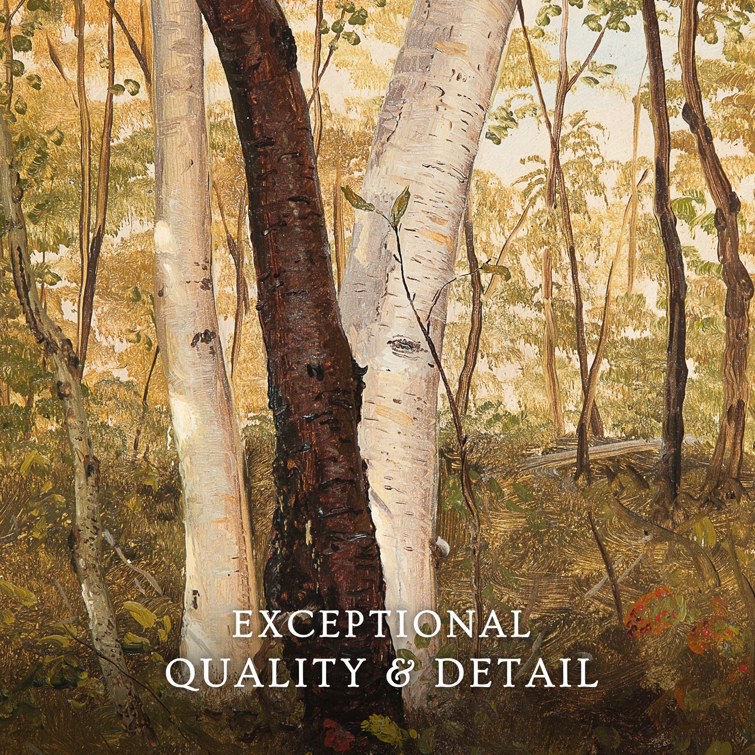 Peaceful Fall Forest Print - Sage and Rose Prints