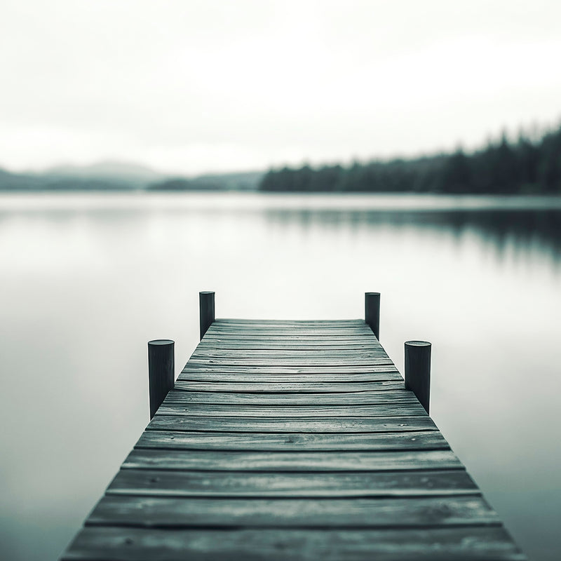 Black and White Moody Lake Photo - Sage and Rose Prints