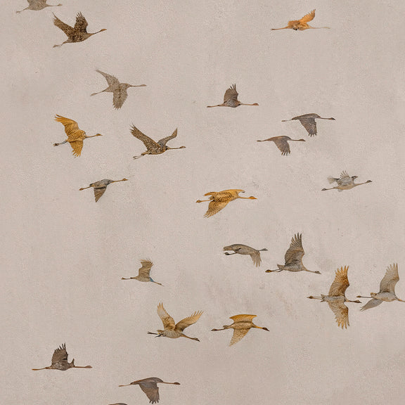 AK-29-Japandi Flock ofBirds flock Tan Watercolor - Sage and Rose Prints