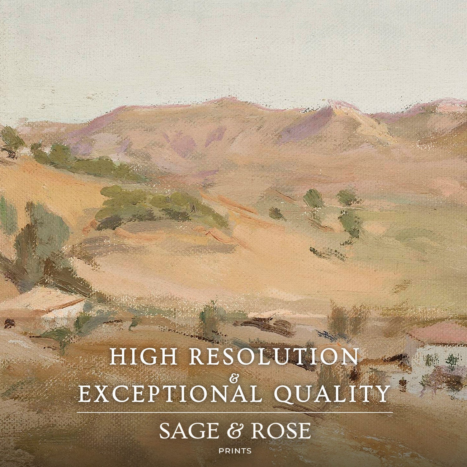 Desert Painting 14-1x - Sage and Rose Prints