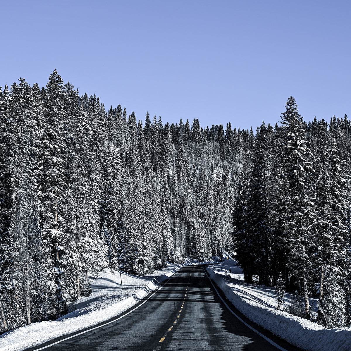 Rockies Road Photography