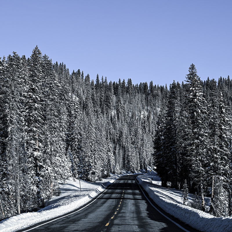 Rockies Road Photography - Sage and Rose Prints