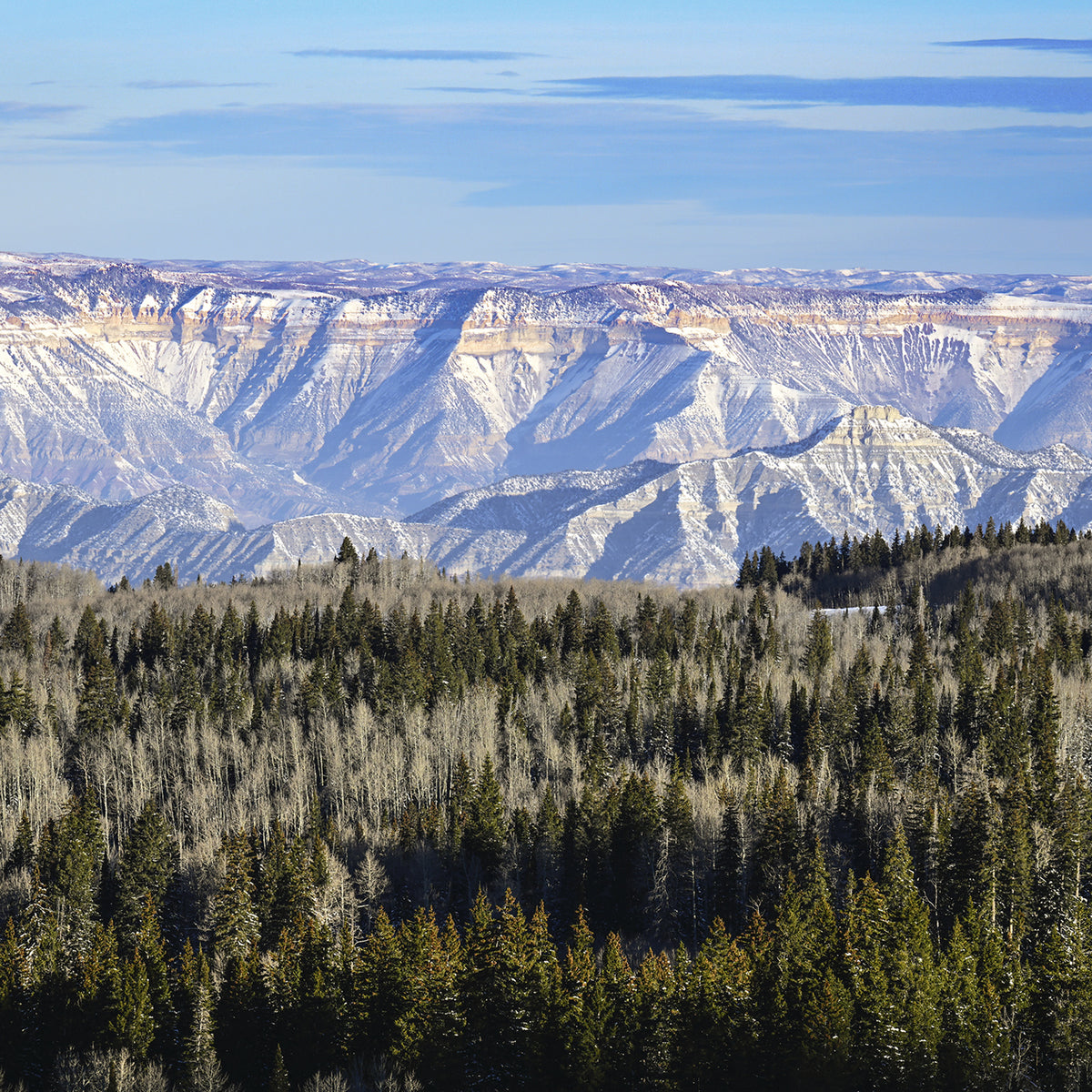 Stunning Purple and Blue Mountain Photography