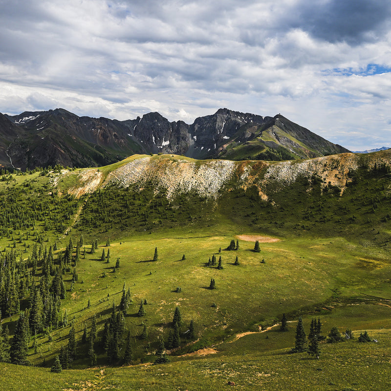 Mountain Nature Photography - Sage and Rose Prints