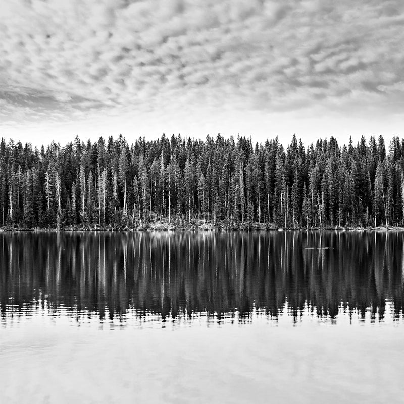 Black and White Reflections on Lake Photography - Sage and Rose Prints