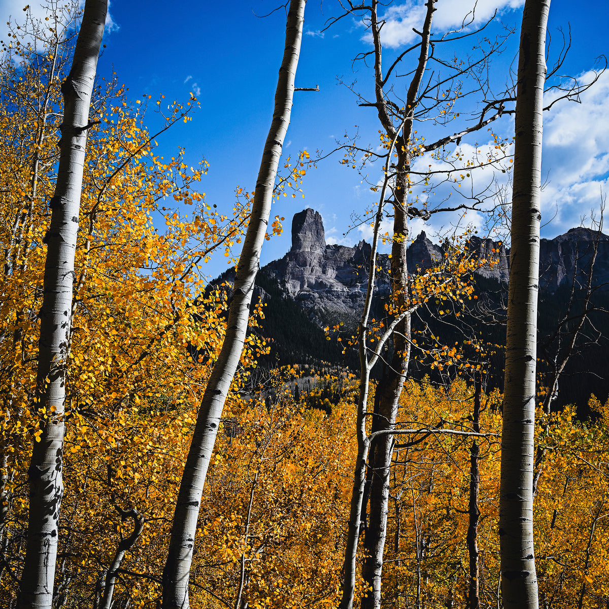 Fall Mountain Photograph - Sage and Rose Prints