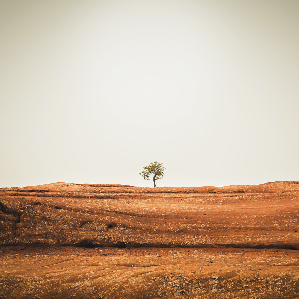 Minimalist Landscape Photography