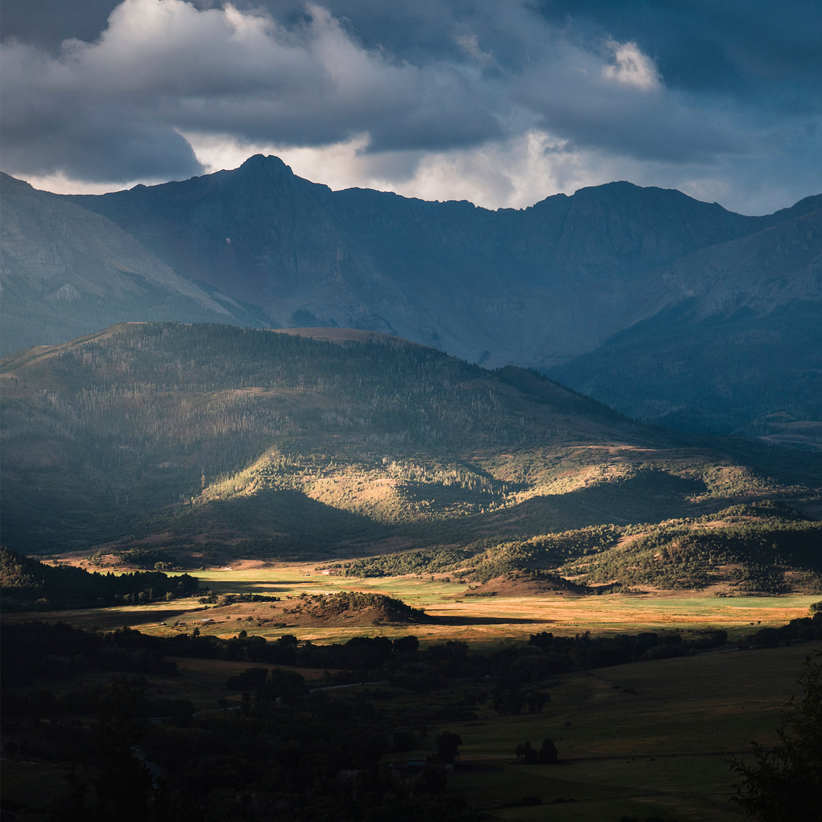 Mountain Rays Photography - Sage and Rose Prints