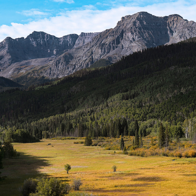 Colorado Rockies Photography - Sage and Rose Prints